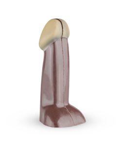 Penis van melk chocolade